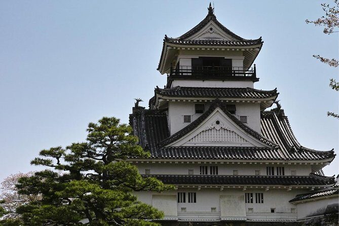 1-Day Kochi Highlights Tour with local guide - Price and Value: Is $158.56 a Smart Spend?