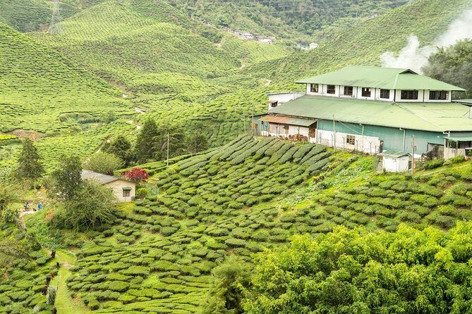 4 Days Best of Kerala Tour with Private Houseboat, Sightseeing & Car - Munnar to Backwaters, in 4 Days: Why This Order Works