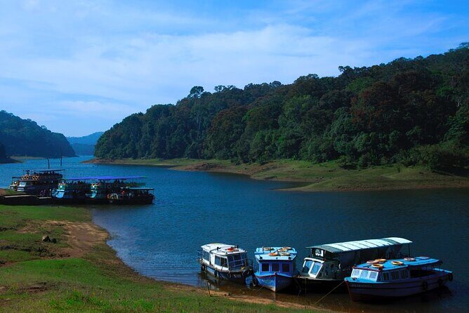5 Days Luxury Kerala Tour with Houseboat Experience - The overall feel: luxury comfort with a real itinerary rhythm