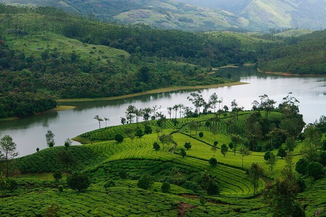 5 Days Luxury Kerala Tour with Houseboat Experience - Entering Munnar the right way: Cheeyappara and Valara waterfalls