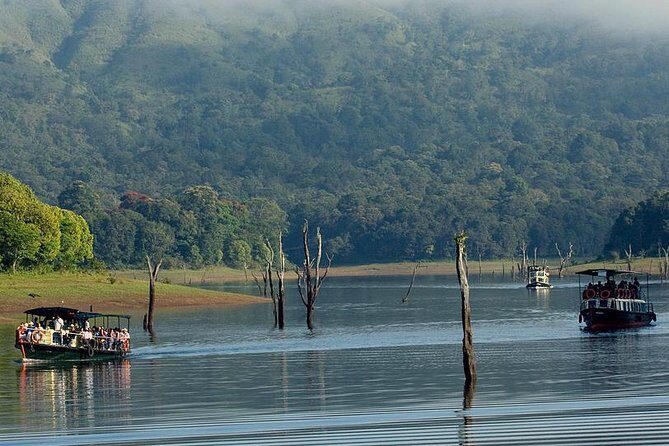 5 Days Private Kerala Tour with Houseboat by Sanguine Holidays - Private car from Kochi: the biggest value you get