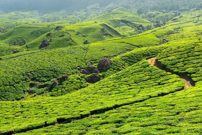8 Days Kerala Private Tour (3 Star) with Munnar, Houseboat & Cab- Iris Holidays - Kumarakom Deluxe Houseboat: Where the Trip Slows Down