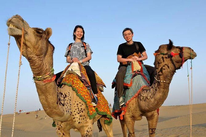 Adventure non touristic camel safari - Key highlights you’ll actually notice