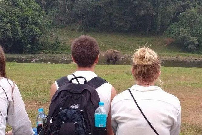 Anakulam Wild Elephant Village life tour ( By Munnar Info) - Viripara Waterfalls: two timed blocks for photos and cool-downs
