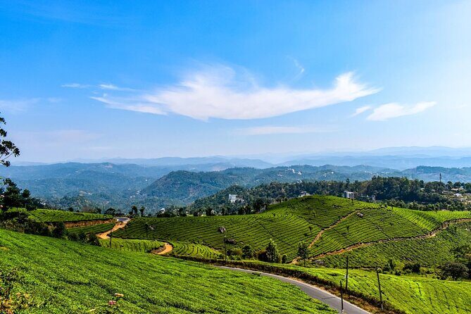 Best of Kerala Tour (Exclusive Private tour) - Kochi arrival with spice market vibes and Fort Kochi heritage