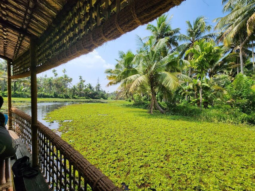 Cochin: Backwater Village Eco Boat Cruise with Lunch - Key Things I’d Focus On Before You Go