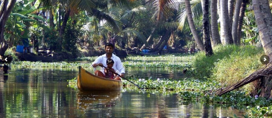 Cochin: Backwater Village Eco Boat Cruise with Lunch - Tips That Make the Day Easier