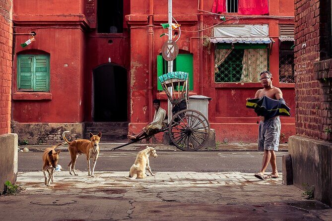Cultural Confluence of Kolkata - Culture Kaleidoscope Tour - Bowbazar to Bow Barracks: Street Life With Big Identity