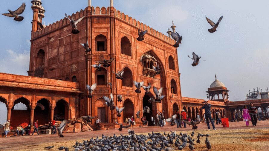 Delhi City Tour: Old, New, or Both – Half & Full Day Options - Gurudwara Bangla Sahib: the sacred pond and community kitchen