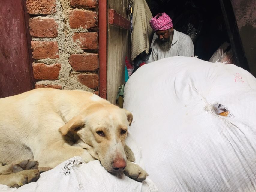 Delhi: Ethical Sanjay Colony Slum Tour - Should You Book the Delhi Ethical Sanjay Colony Slum Tour?