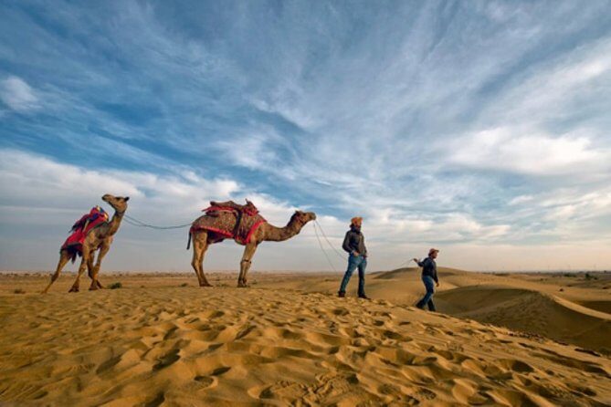 Desert Camel Safari Day Tour In Jodhpur - Key highlights in plain English