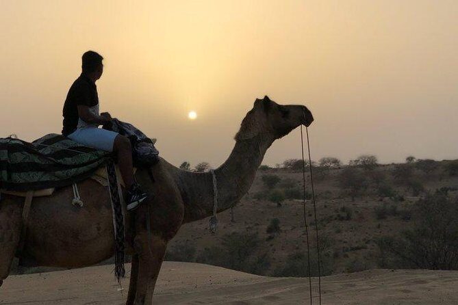 Desert Camel Safari Day Tour In Jodhpur - Sachiya Mata Temple: free entry and a self-guided hour