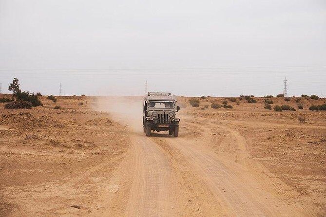 Desert Safari Tour Package - Camping under the desert sky: dinner, downtime, and the feeling of quiet