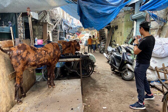 Dharavi Slum Tour in Mumbai with Combo Packages & Transfers - Price and Value: Is $11.16 a Smart Deal?