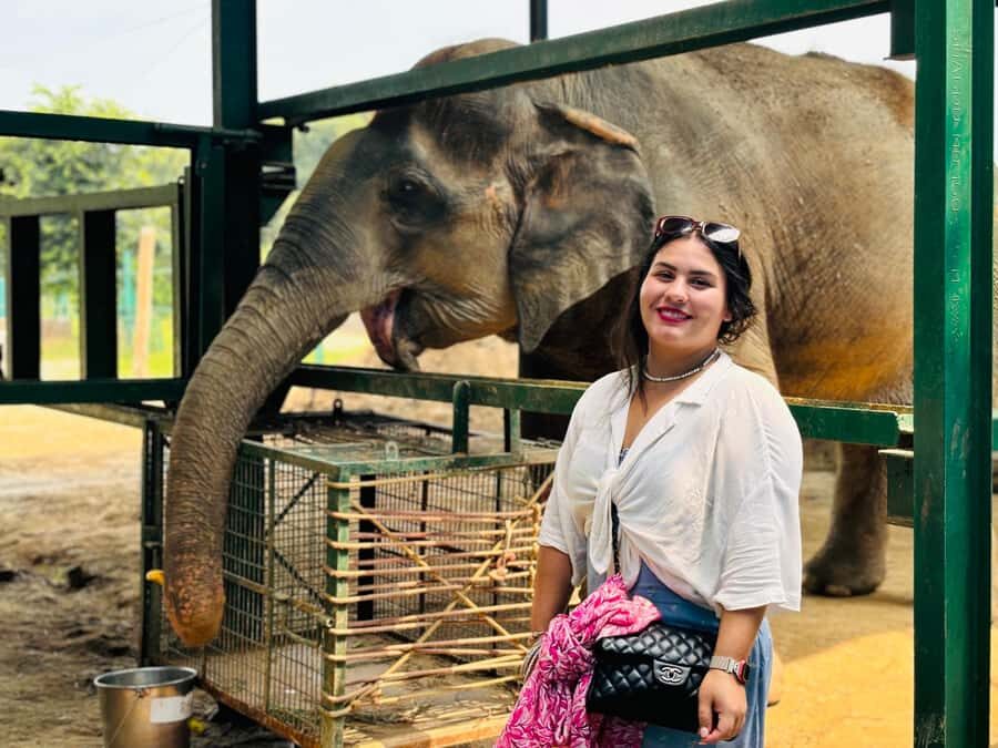 From Delhi: Taj Mahal Sunrise Tour w/ Elephant Conservation - Key Points That Make This Tour Work
