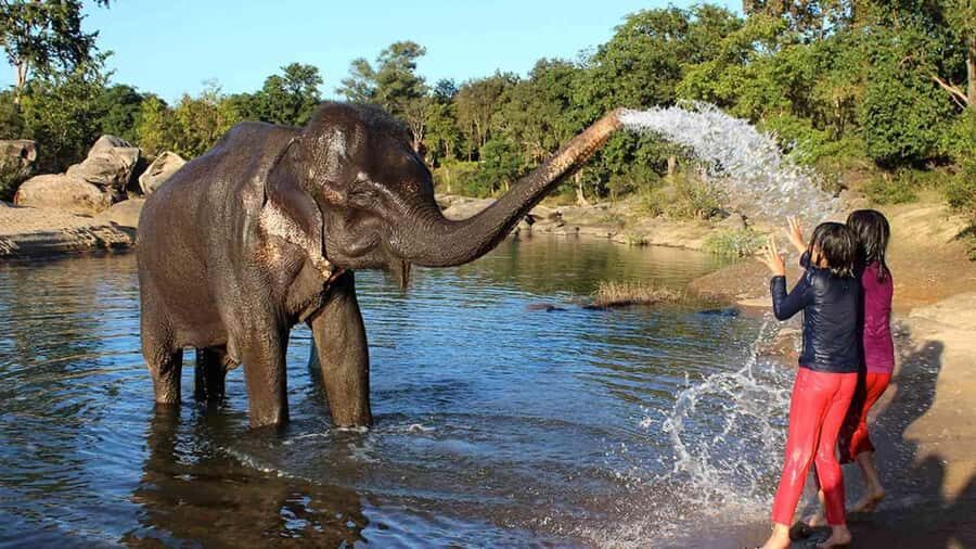 From Delhi: Taj Mahal Sunrise Tour w/ Elephant Conservation - Taj Mahal sunrise with a real guide—and no queue stress