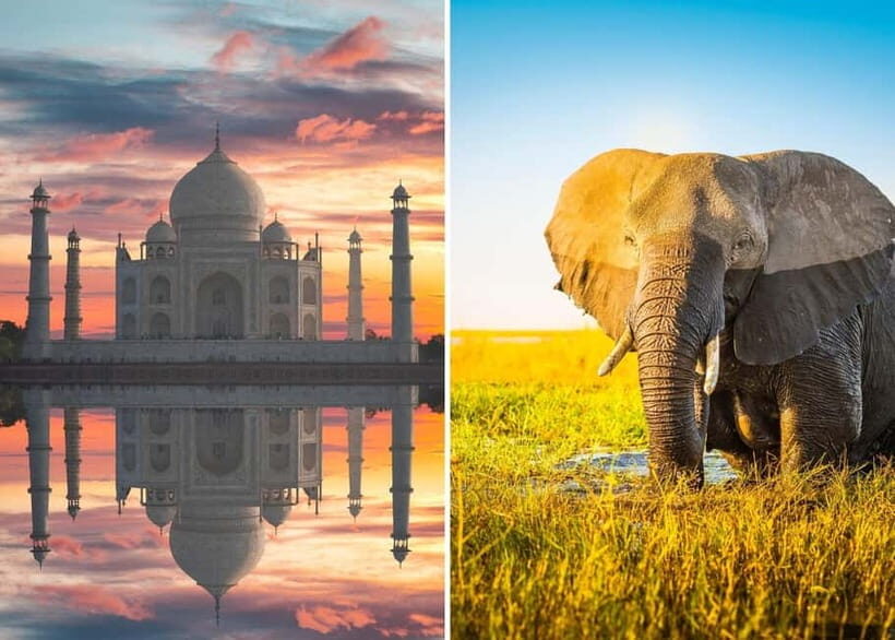 From Delhi: Taj Mahal Sunrise Tour with Elephant SOS Center - Key things that make this tour worth your time