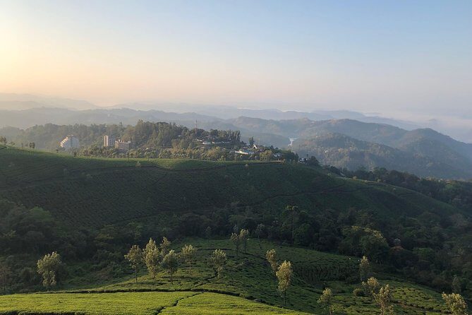 Full day in hiking in Munnar (By Munnar Info) - Why this Munnar hike feels practical (not touristy)