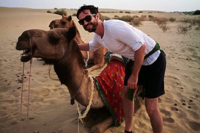 Half-Day Sunset Camel Safari in Rajasthan - Key Highlights I’d Prioritize