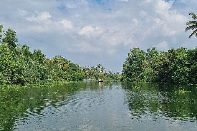 Half Day Village Backwater Eco Country Boat Cruise :Group Tour from Fort Cochin - Vegetarian lunch on banana leaves: simple, local, and surprisingly satisfying