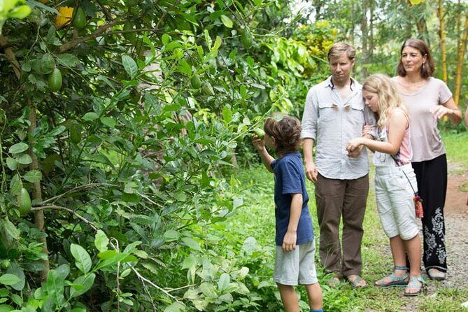 Half Day Village Backwater Eco Country Boat Cruise :Group Tour from Fort Cochin - Vaikom backwaters and the village stop: where culture shows up