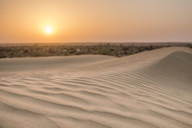Jaisalmer: 2-Day Thar Desert Experience - Jeep time and the Desert National Park stretch