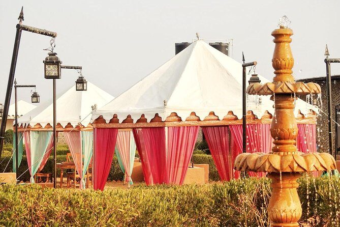 Jaisalmer: 2-Day Thar Desert Experience - The dunes: camel ride, sunset, and that specific Thar feeling