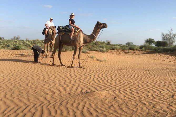 Jodhpur Camel Safari & Jeep Safari In Desert Jodhpur SR - The “whole day” vibe: Jodhpur to Osian, desert riding, then lunch