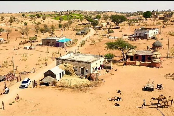 Jodhpur Camel Safari & Jeep Safari In Desert Jodhpur SR - Pickup, transport, and what you should confirm before you go