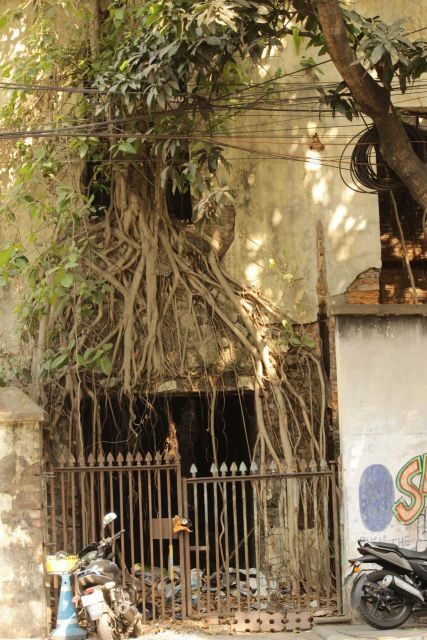Kolkata: A Sea of Faces and A Thousand Places - Should you book this Kolkata story tour?