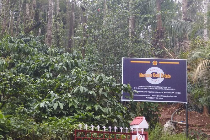 Mercara Gold Coorg Coffee and Spice Estate Tour - Mercara Gold Estate: Where Coorg Coffee Comes to Life
