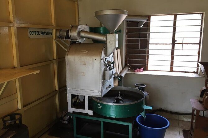 Mercara Gold Coorg Coffee and Spice Estate Tour - Should You Book This Coorg Coffee and Spice Tour?