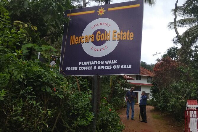 Mercara Gold Coorg Coffee and Spice Estate Tour - World Coffee Museum Stop and the Estate Processing Look-In