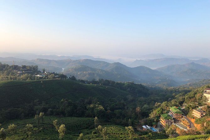 Mountain Hiking in Munnar (half day) By Munnar Info - Why This Half-Day Hike Feels Like Real Value
