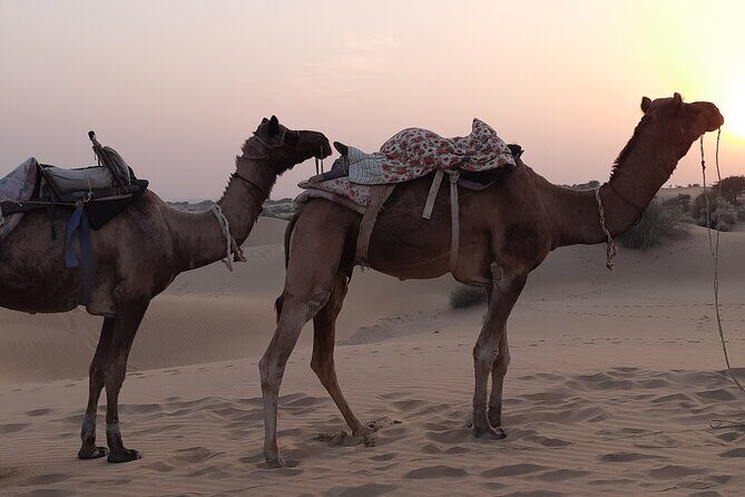 Off the beaten track overnight Camel Safari Tour Jaisalmer - Day 1 Camel Riding with Village Stops: More Than Just the Dunes