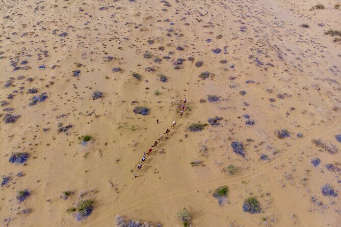 Overnight Camel Safari - Sleeping under the Stars - Key Highlights to Know Before You Go