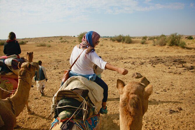 Overnight Camel Safari - Sleeping under the Stars - How the Schedule Works: 20 Hours in the Desert Rhythm