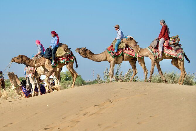 Overnight Camel Safari - Sleeping under the Stars - Khaba Fort, Oasis Stops, and Desert Life Lessons