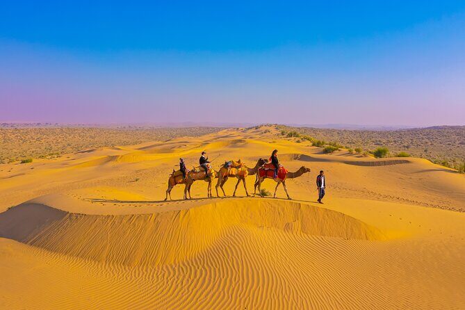 Pleasant Non-Touristic Overnight Camel Safari (From 2:00 PM to Approx. 10:30AM) - Key takeaways before you go