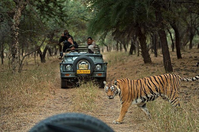 Private 5-Day Ranthambhore Tiger Tour from Delhi including the Taj Mahal, Agra and Jaipur - Day 1 in Delhi: Tombs, Minarets, and a Quick Reset Before Agra
