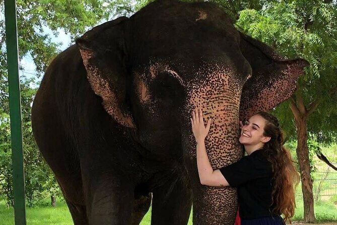 Private Elephant Sanctuary - The private experience setup and what that means for your day