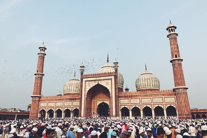 Private Full or Half Day Old and New Delhi City Tour - Pickup, Comfort, and the Private Car Reality Check