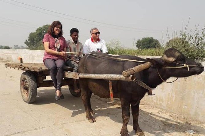 Real Village Tour Amritsar - A Real Punjabi Village Tour Beats a Standard Day Trip