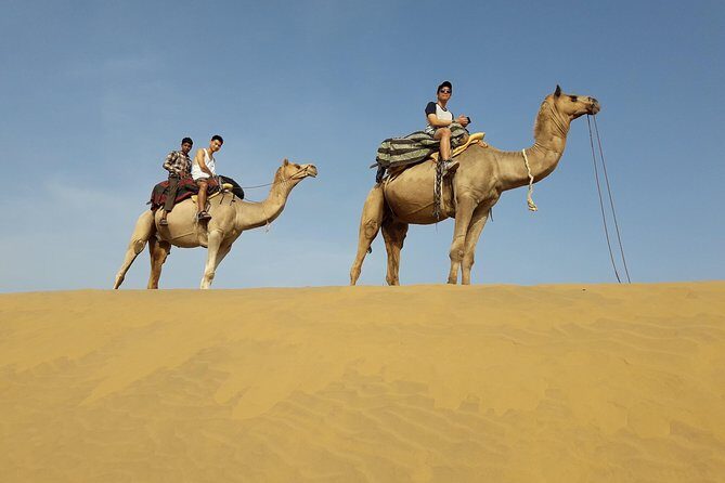 SR Camel Safari Tour Osian-Jodhpur - Key things I’d book this for
