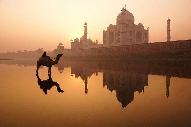 Taj Mahal, Agra Fort & Baby Taj Tour from Delhi - All Inclusive - Taj Mahal in three hours: guide-led history and real photo time