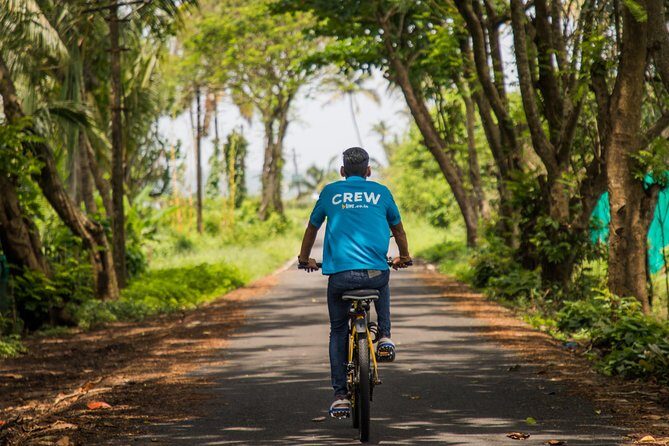 Varca Coastal E-Bike Tour: Scenic Beachside Adventure - E-bikes and safety gear that make the tour feel easy