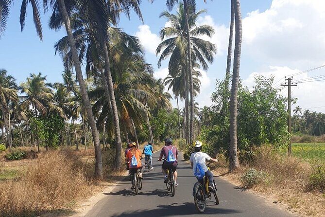 Varca Coastal E-Bike Tour: Scenic Beachside Adventure - Benaulim and paddy fields: where your camera actually has a job